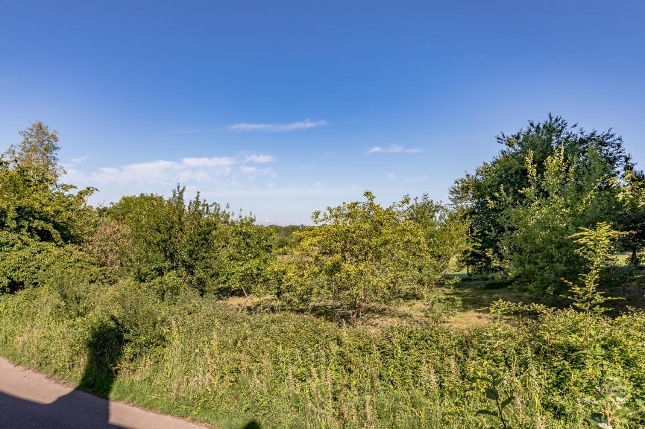 Danny Lodge - Country Cottage Near Brighton By Huluki Sussex Stays Hurstpierpoint Экстерьер фото